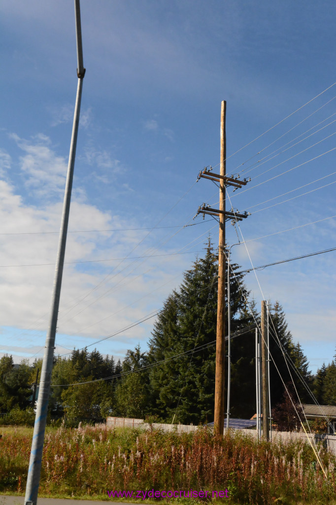 593: Carnival Miracle Alaska Cruise, Juneau, Harv and Marv's Whale Watching, 