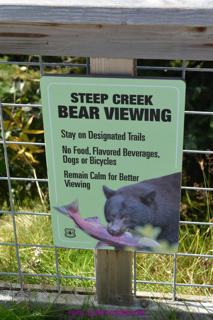 604: Carnival Miracle Alaska Cruise, Juneau, Harv and Marv's Whale Watching, 