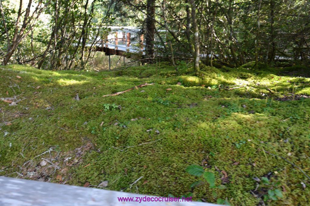 617: Carnival Miracle Alaska Cruise, Juneau, Harv and Marv's Whale Watching, 