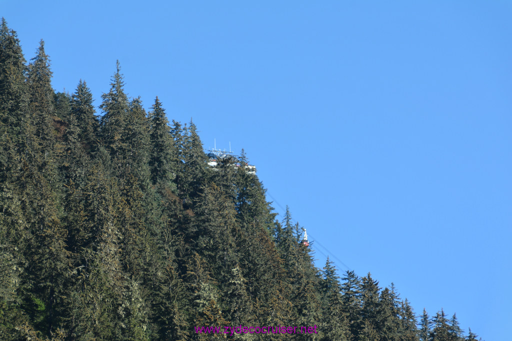 624: Carnival Miracle Alaska Cruise, Juneau, Harv and Marv's Whale Watching, 