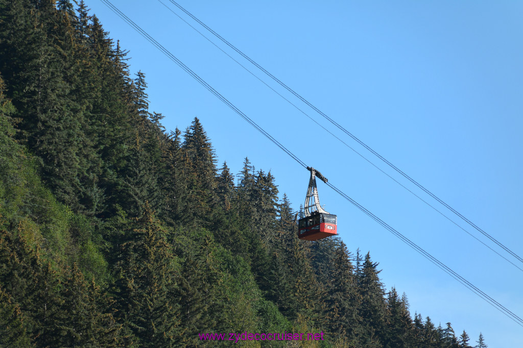 625: Carnival Miracle Alaska Cruise, Juneau, Harv and Marv's Whale Watching, 