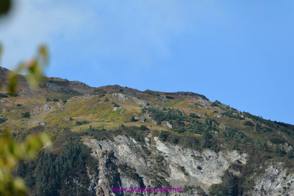 626: Carnival Miracle Alaska Cruise, Juneau, Harv and Marv's Whale Watching, 