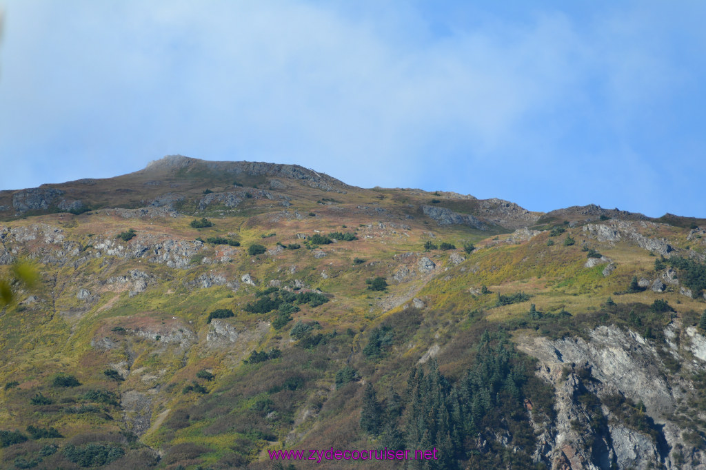 628: Carnival Miracle Alaska Cruise, Juneau, 