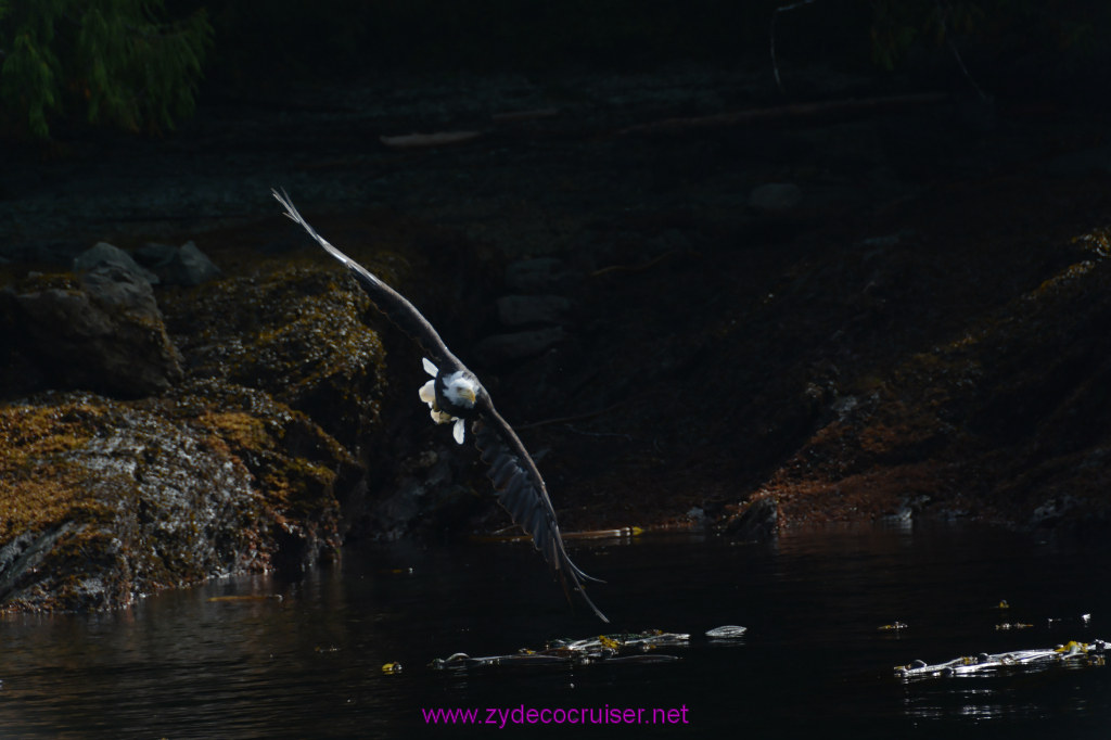 188: Carnival Miracle Alaska Cruise, Ketchikan, Bering Sea Crab Fisherman's Tour, 