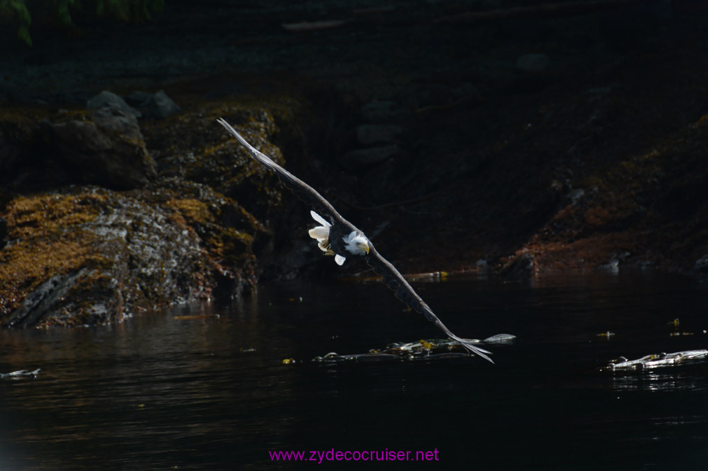 189: Carnival Miracle Alaska Cruise, Ketchikan, Bering Sea Crab Fisherman's Tour, 