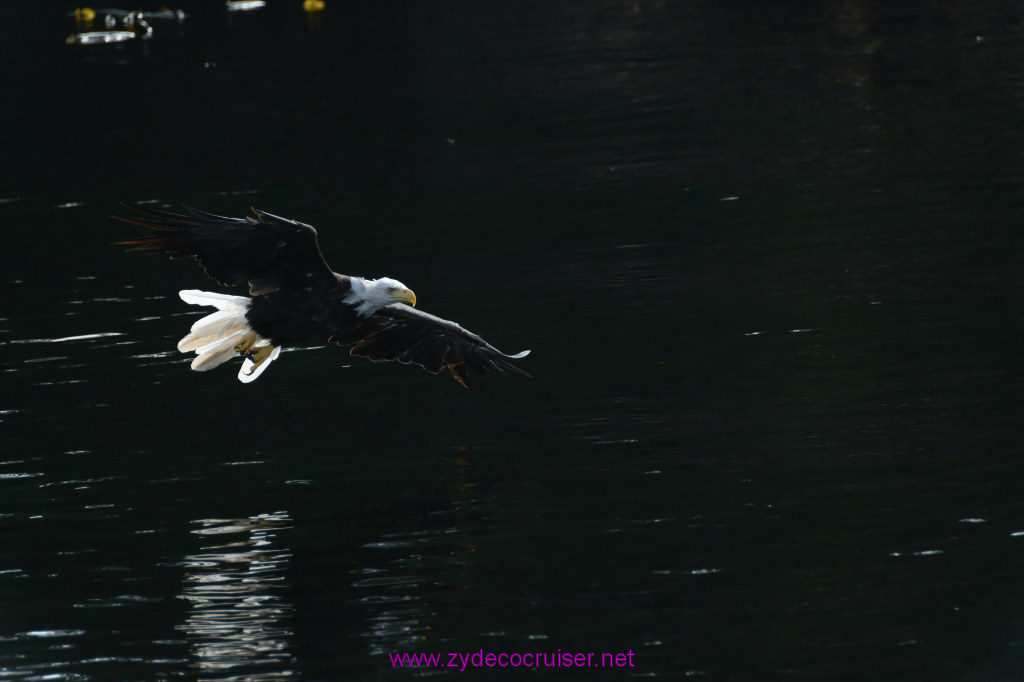 190: Carnival Miracle Alaska Cruise, Ketchikan, Bering Sea Crab Fisherman's Tour, 