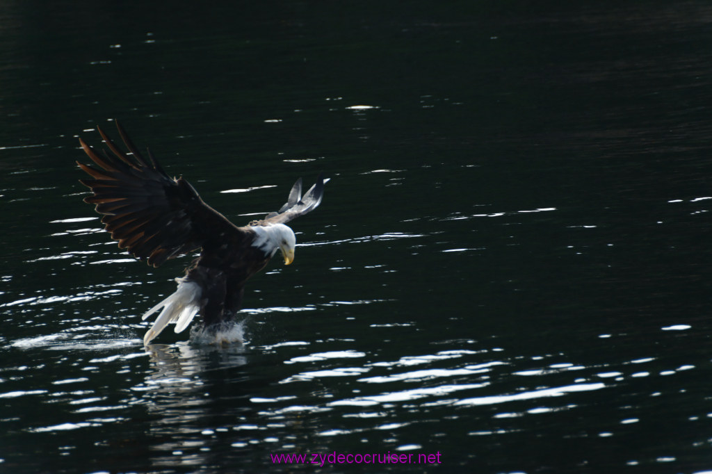192: Carnival Miracle Alaska Cruise, Ketchikan, Bering Sea Crab Fisherman's Tour, 
