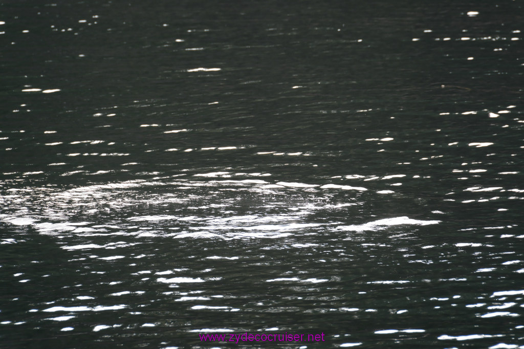 194: Carnival Miracle Alaska Cruise, Ketchikan, Bering Sea Crab Fisherman's Tour, 