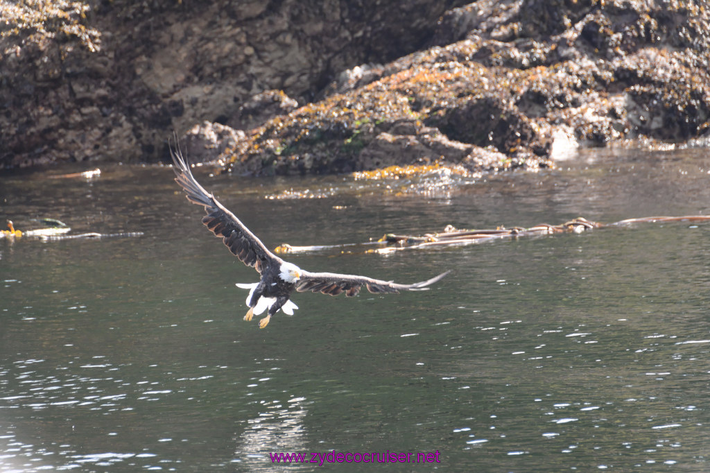 202: Carnival Miracle Alaska Cruise, Ketchikan, Bering Sea Crab Fisherman's Tour, 