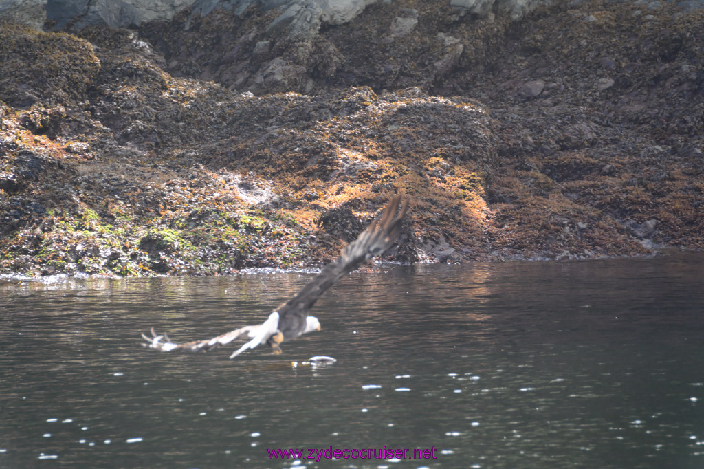 206: Carnival Miracle Alaska Cruise, Ketchikan, Bering Sea Crab Fisherman's Tour, 