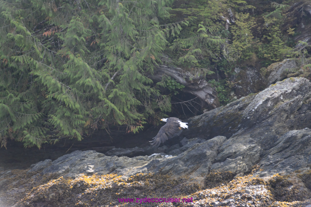 210: Carnival Miracle Alaska Cruise, Ketchikan, Bering Sea Crab Fisherman's Tour, 