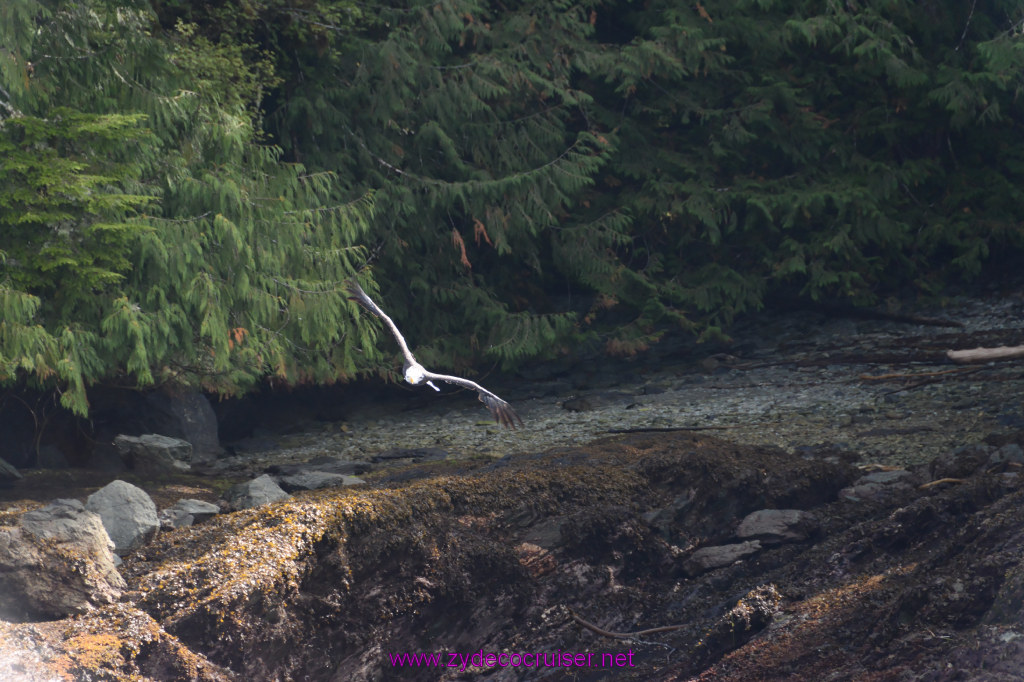 212: Carnival Miracle Alaska Cruise, Ketchikan, Bering Sea Crab Fisherman's Tour, 