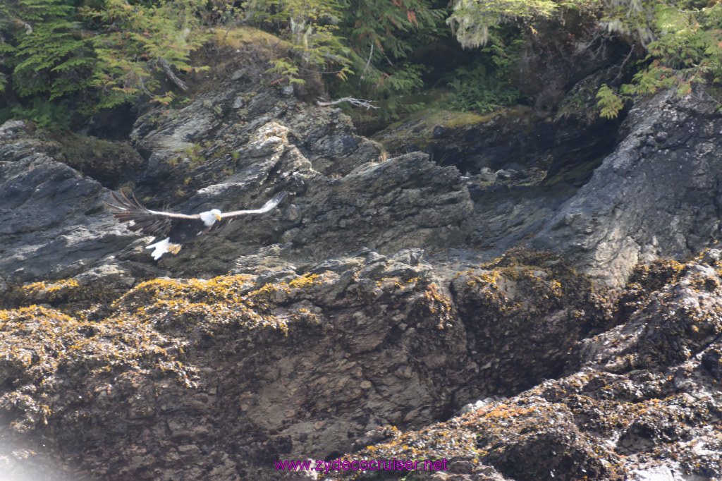 215: Carnival Miracle Alaska Cruise, Ketchikan, Bering Sea Crab Fisherman's Tour, 