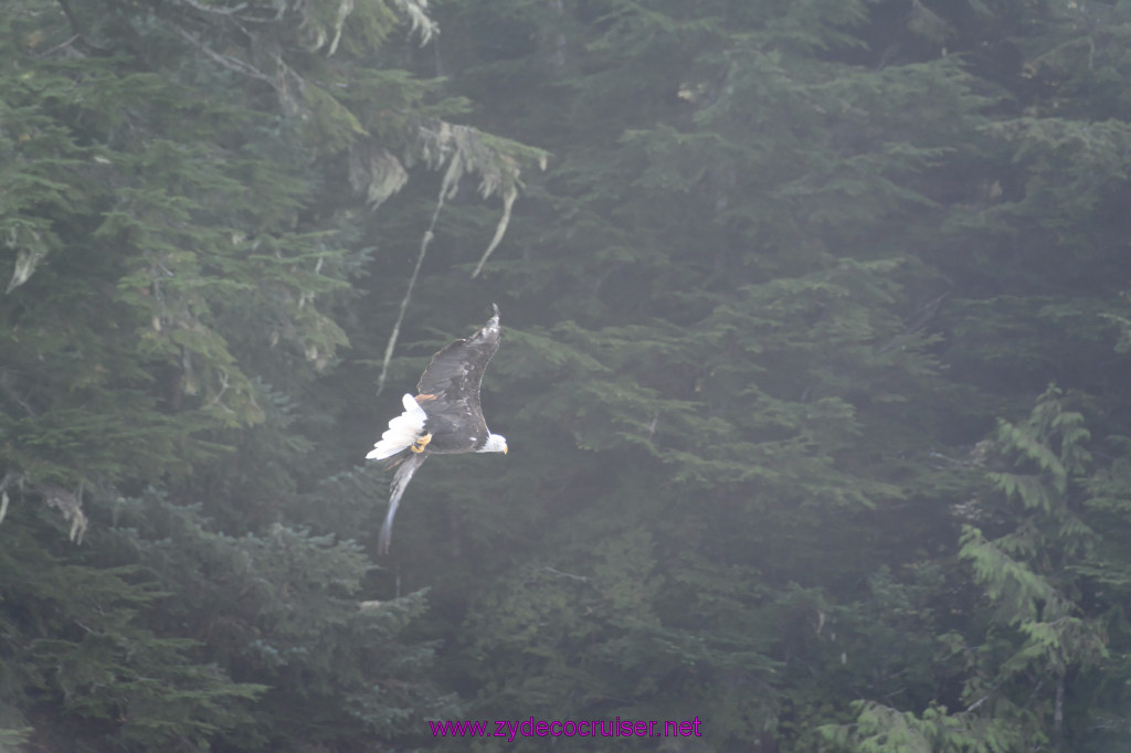 219: Carnival Miracle Alaska Cruise, Ketchikan, Bering Sea Crab Fisherman's Tour, 