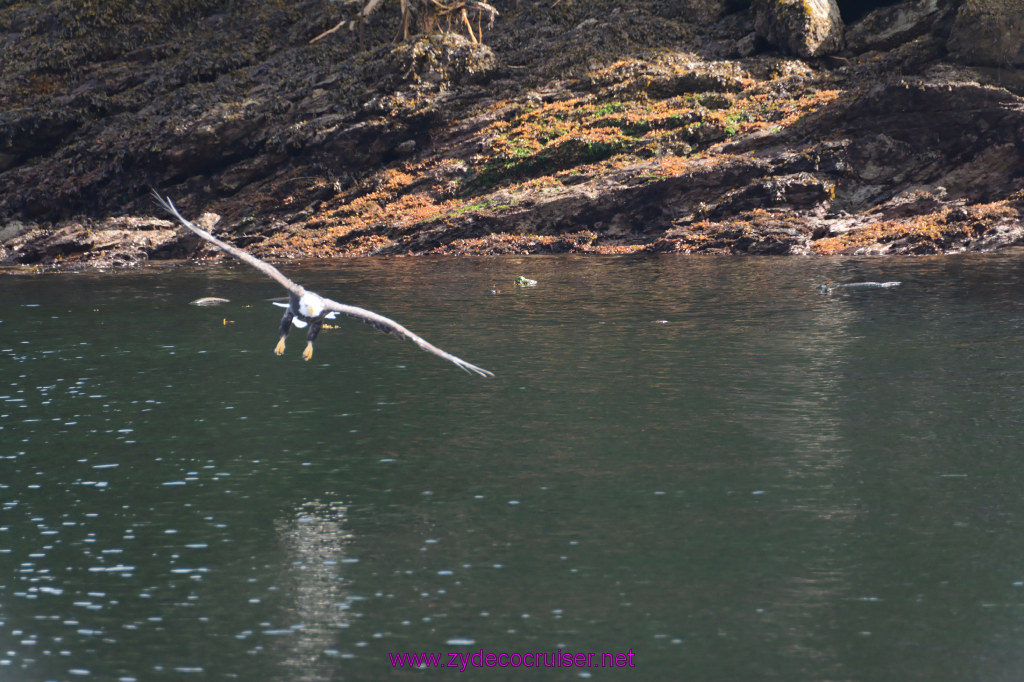 222: Carnival Miracle Alaska Cruise, Ketchikan, Bering Sea Crab Fisherman's Tour, 