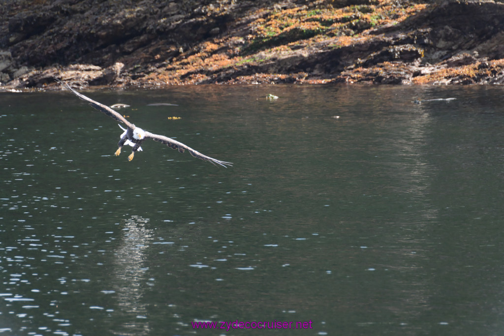 223: Carnival Miracle Alaska Cruise, Ketchikan, Bering Sea Crab Fisherman's Tour, 