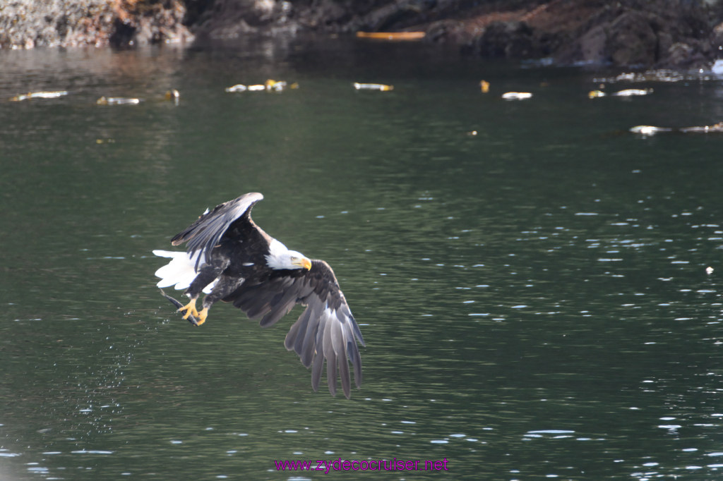 228: Carnival Miracle Alaska Cruise, Ketchikan, Bering Sea Crab Fisherman's Tour, 