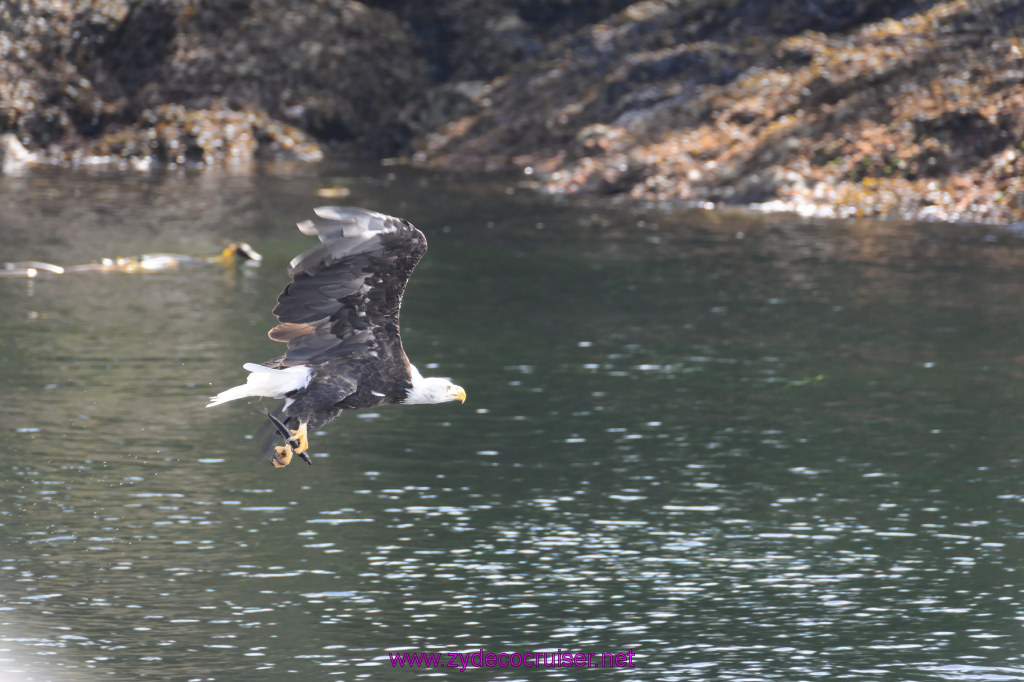 229: Carnival Miracle Alaska Cruise, Ketchikan, Bering Sea Crab Fisherman's Tour, 