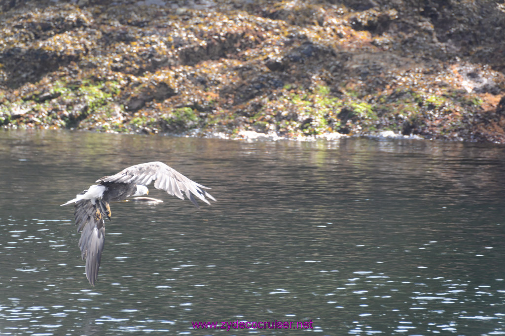 230: Carnival Miracle Alaska Cruise, Ketchikan, Bering Sea Crab Fisherman's Tour, 
