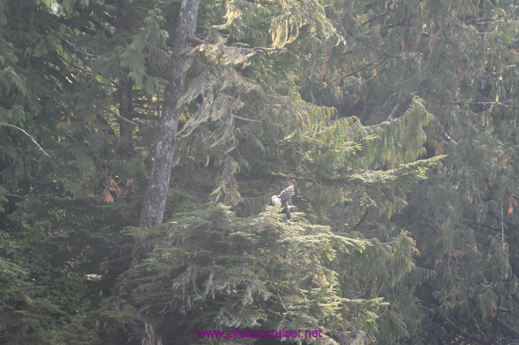 235: Carnival Miracle Alaska Cruise, Ketchikan, Bering Sea Crab Fisherman's Tour, 