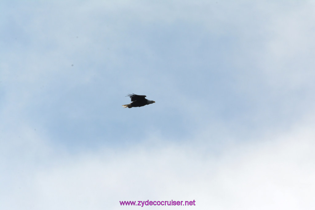 238: Carnival Miracle Alaska Cruise, Ketchikan, Bering Sea Crab Fisherman's Tour, 