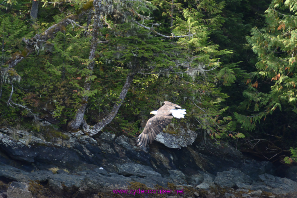 244: Carnival Miracle Alaska Cruise, Ketchikan, Bering Sea Crab Fisherman's Tour, 