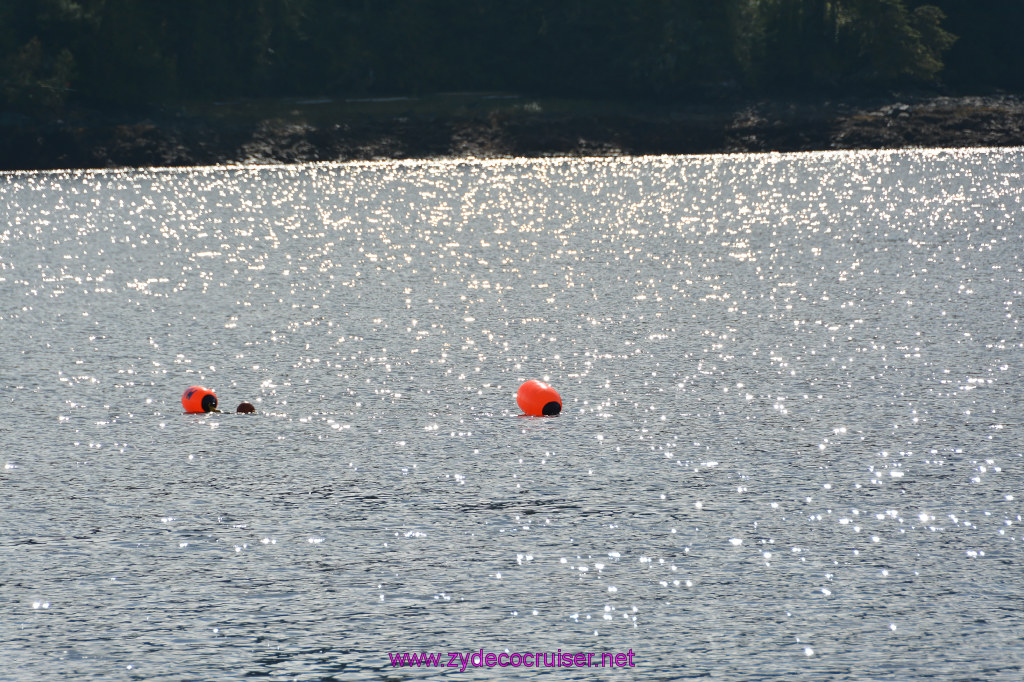 248: Carnival Miracle Alaska Cruise, Ketchikan, Bering Sea Crab Fisherman's Tour, 