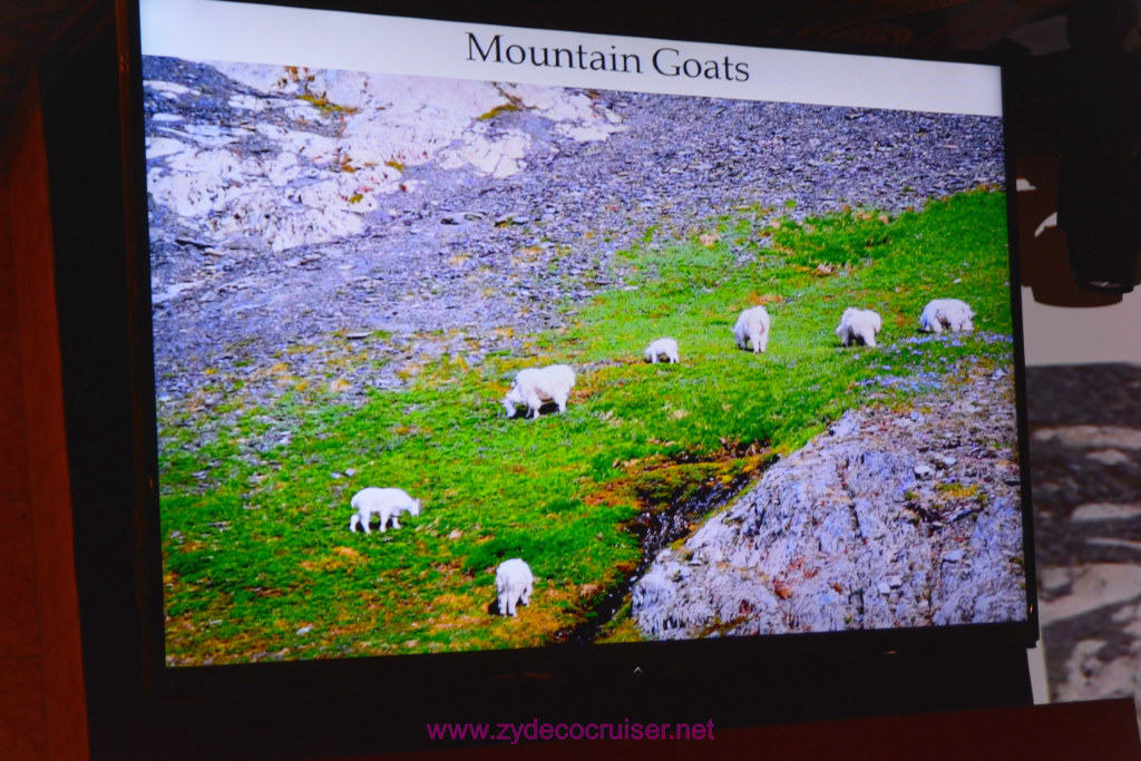 057: Carnival Miracle Alaska Journey Cruise, Sea Day 2, Naturalist Dirk Younkerman Lecture, Alaska's Glaciers, Volcanoes, and Wildlife, 