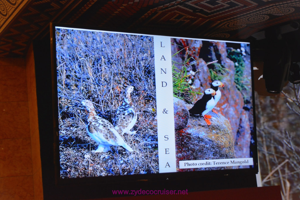 059: Carnival Miracle Alaska Journey Cruise, Sea Day 2, Naturalist Dirk Younkerman Lecture, Alaska's Glaciers, Volcanoes, and Wildlife, 