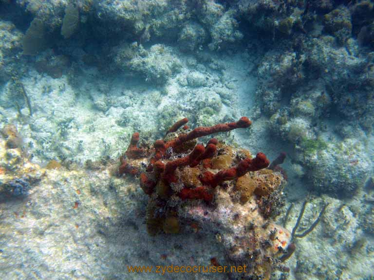 448: Carnival Sensation - Nassau - Catamaran Sail and Snorkel