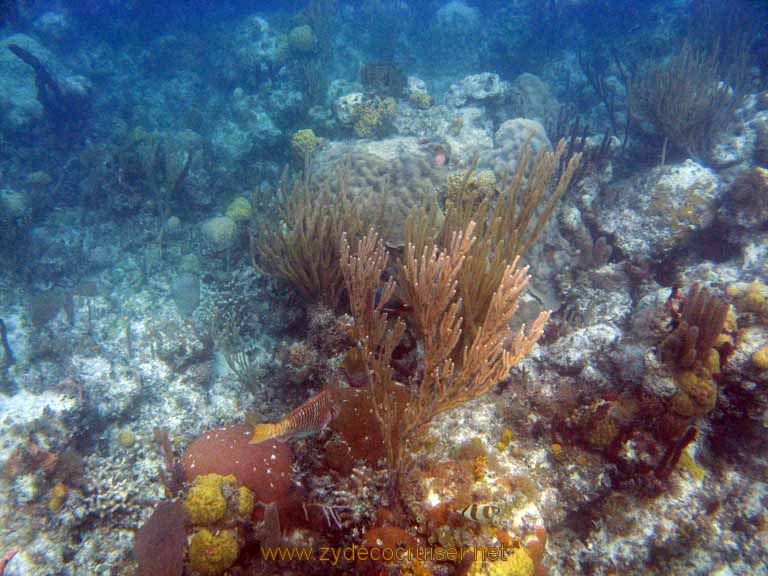 450: Carnival Sensation - Nassau - Catamaran Sail and Snorkel