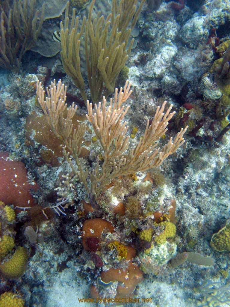 451: Carnival Sensation - Nassau - Catamaran Sail and Snorkel