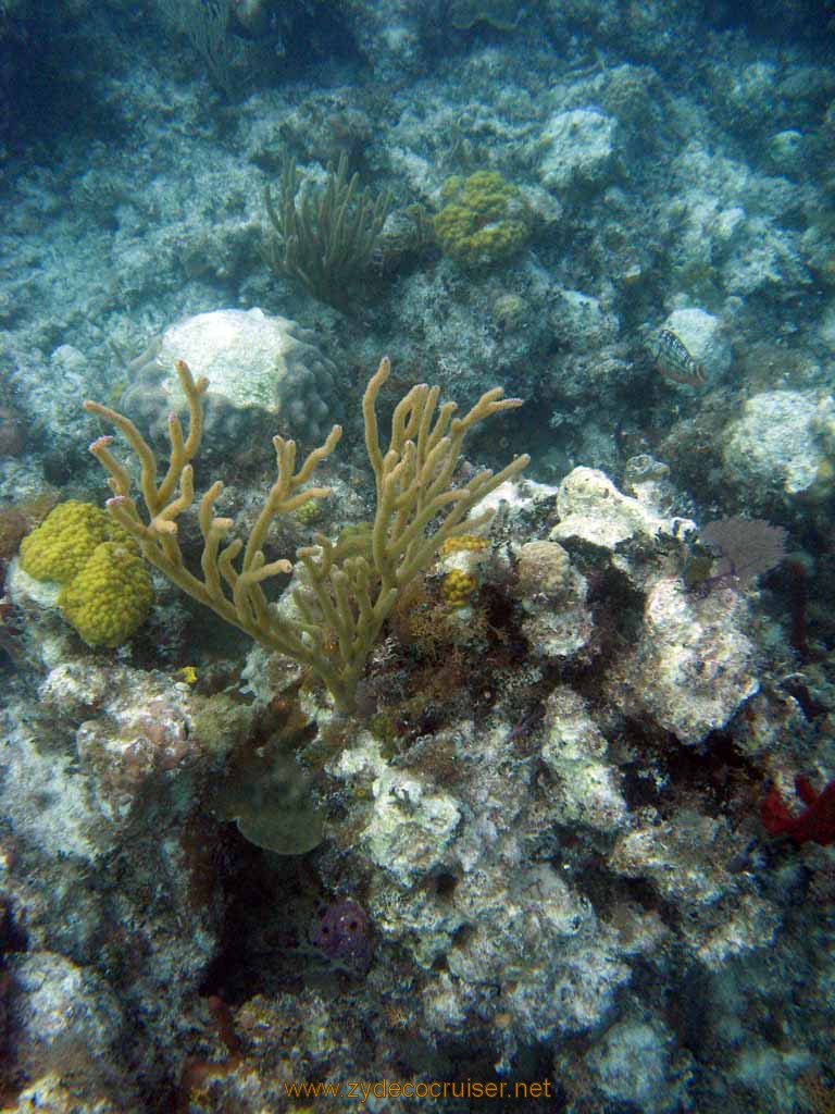 455: Carnival Sensation - Nassau - Catamaran Sail and Snorkel