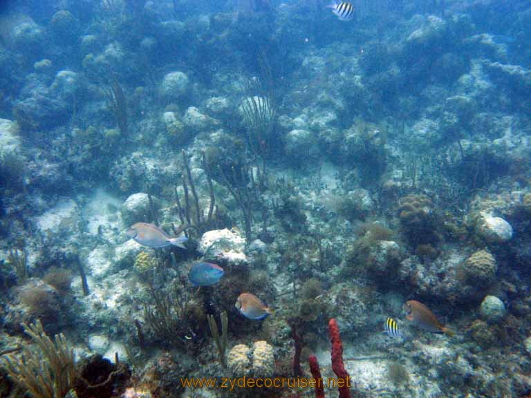 456: Carnival Sensation - Nassau - Catamaran Sail and Snorkel