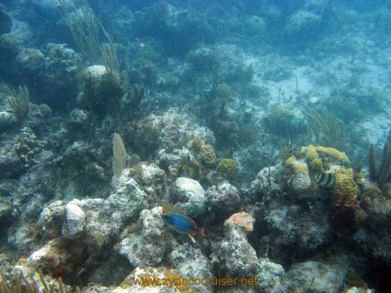 457: Carnival Sensation - Nassau - Catamaran Sail and Snorkel