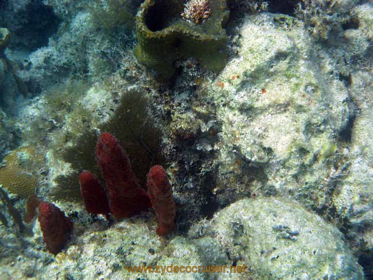 459: Carnival Sensation - Nassau - Catamaran Sail and Snorkel