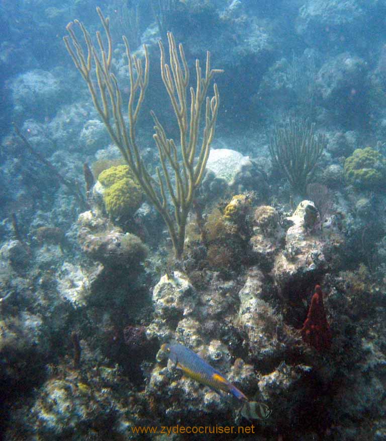 473: Carnival Sensation - Nassau - Catamaran Sail and Snorkel