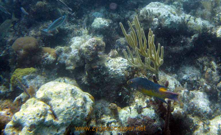 474: Carnival Sensation - Nassau - Catamaran Sail and Snorkel