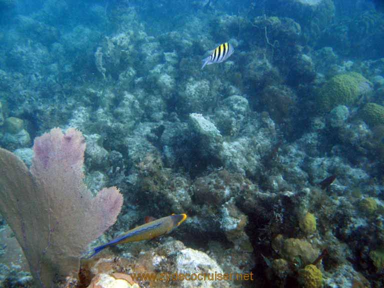 482: Carnival Sensation - Nassau - Catamaran Sail and Snorkel