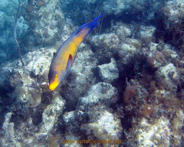 483: Carnival Sensation - Nassau - Catamaran Sail and Snorkel