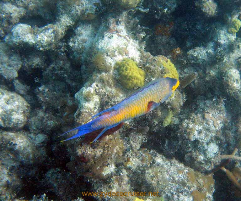 484: Carnival Sensation - Nassau - Catamaran Sail and Snorkel