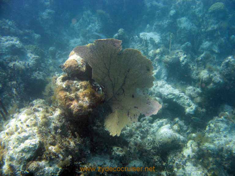 485: Carnival Sensation - Nassau - Catamaran Sail and Snorkel