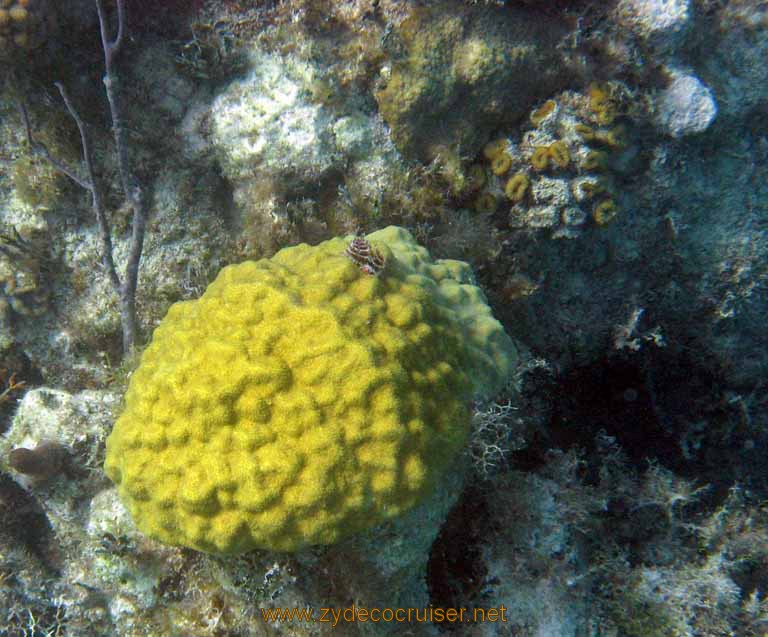 486: Carnival Sensation - Nassau - Catamaran Sail and Snorkel