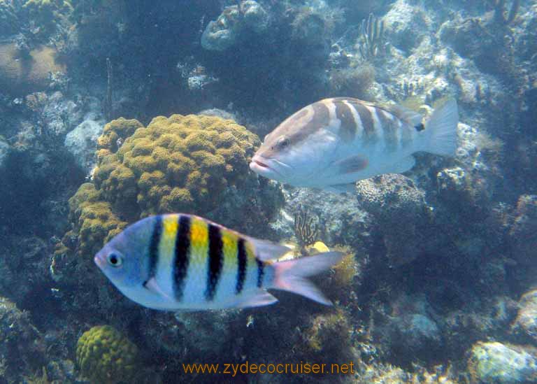 487: Carnival Sensation - Nassau - Catamaran Sail and Snorkel