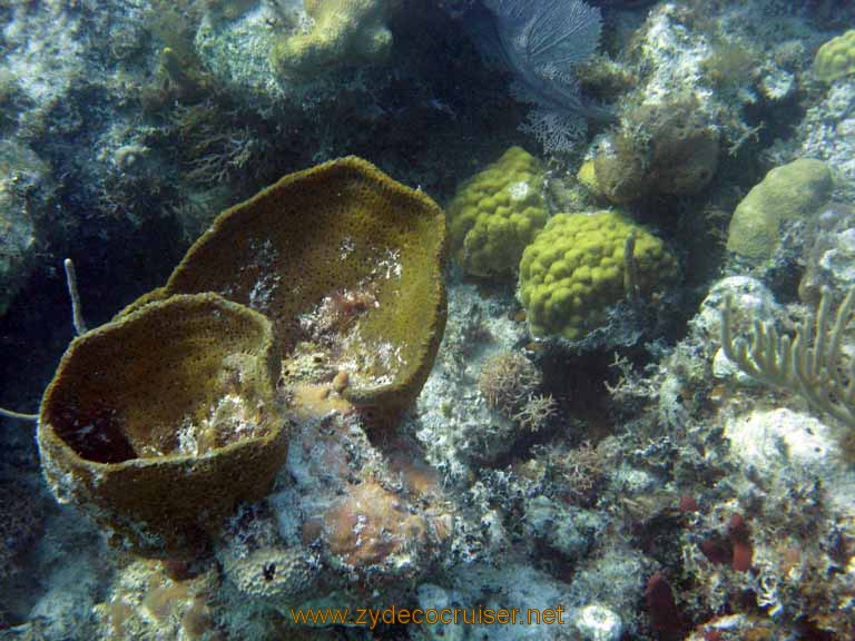 489: Carnival Sensation - Nassau - Catamaran Sail and Snorkel