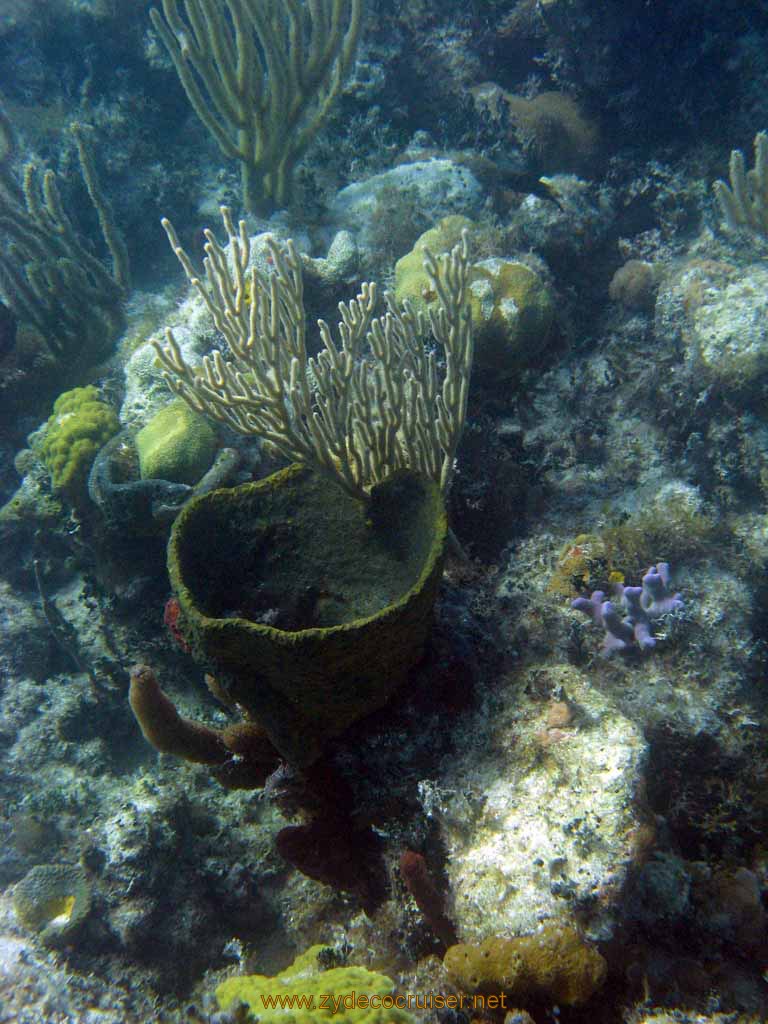 490: Carnival Sensation - Nassau - Catamaran Sail and Snorkel