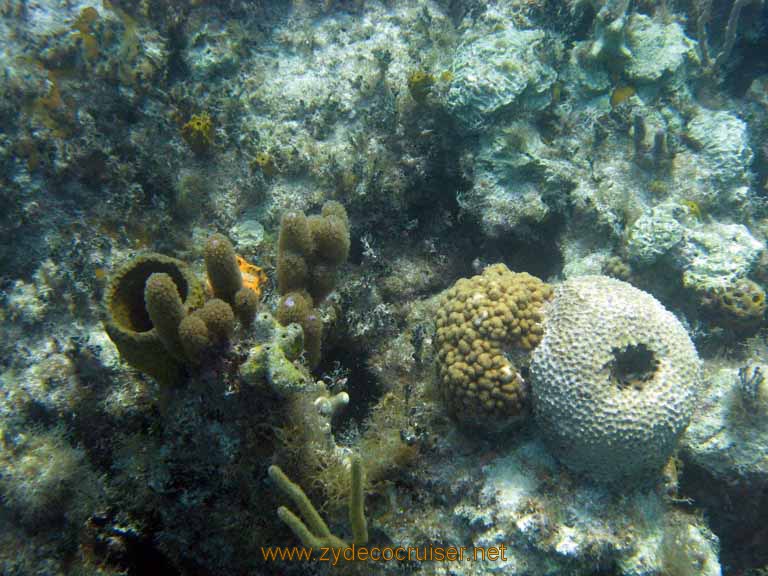 491: Carnival Sensation - Nassau - Catamaran Sail and Snorkel