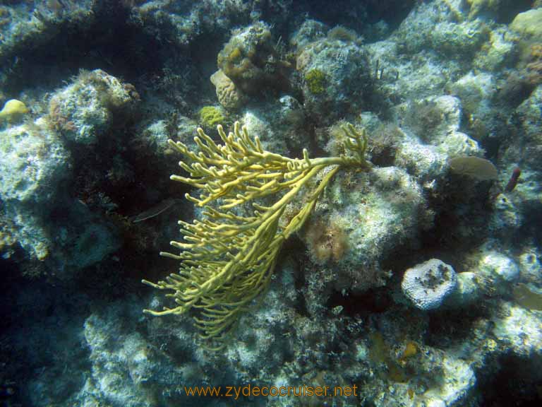 493: Carnival Sensation - Nassau - Catamaran Sail and Snorkel