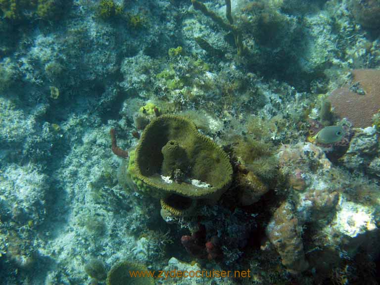 495: Carnival Sensation - Nassau - Catamaran Sail and Snorkel