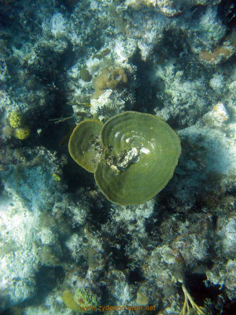 496: Carnival Sensation - Nassau - Catamaran Sail and Snorkel